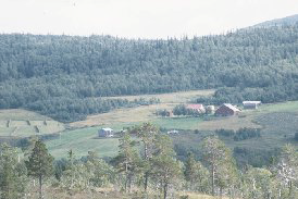 gaundalen