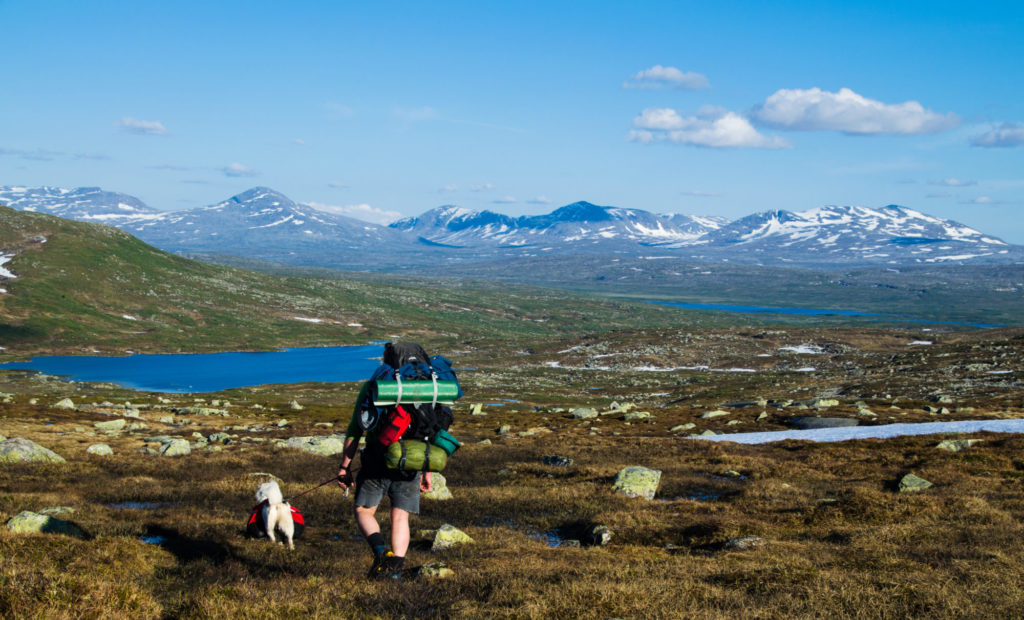 Blåfjella- Skjækerfjella Nasjonalpark sommer 2015