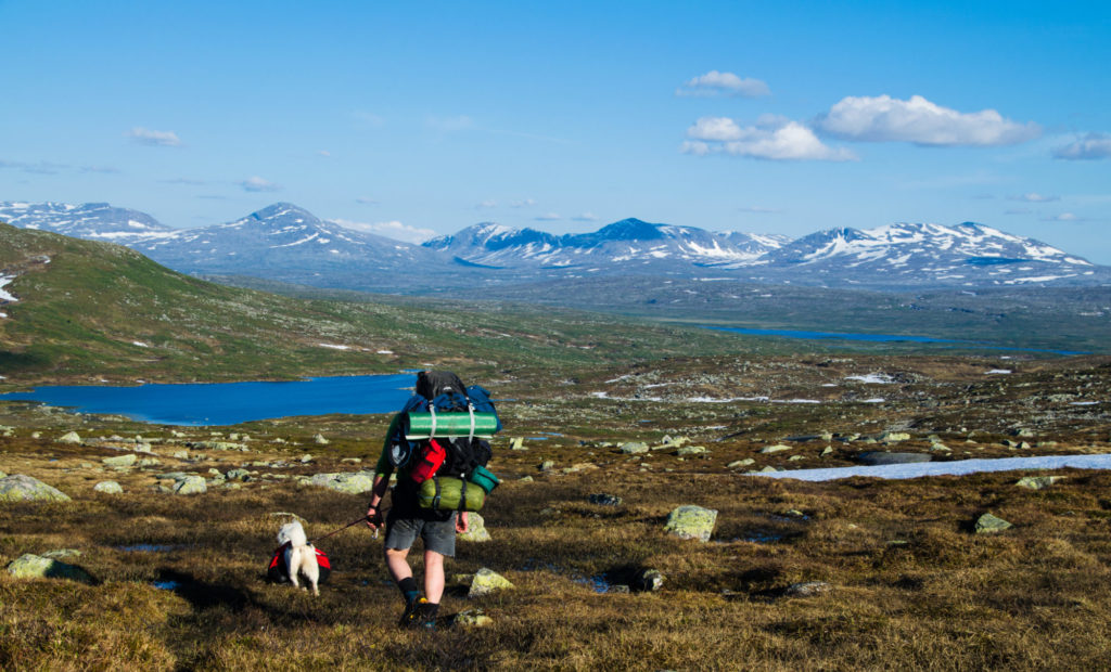 Blåfjella- Skjækerfjella Nasjonalpark sommer 2015