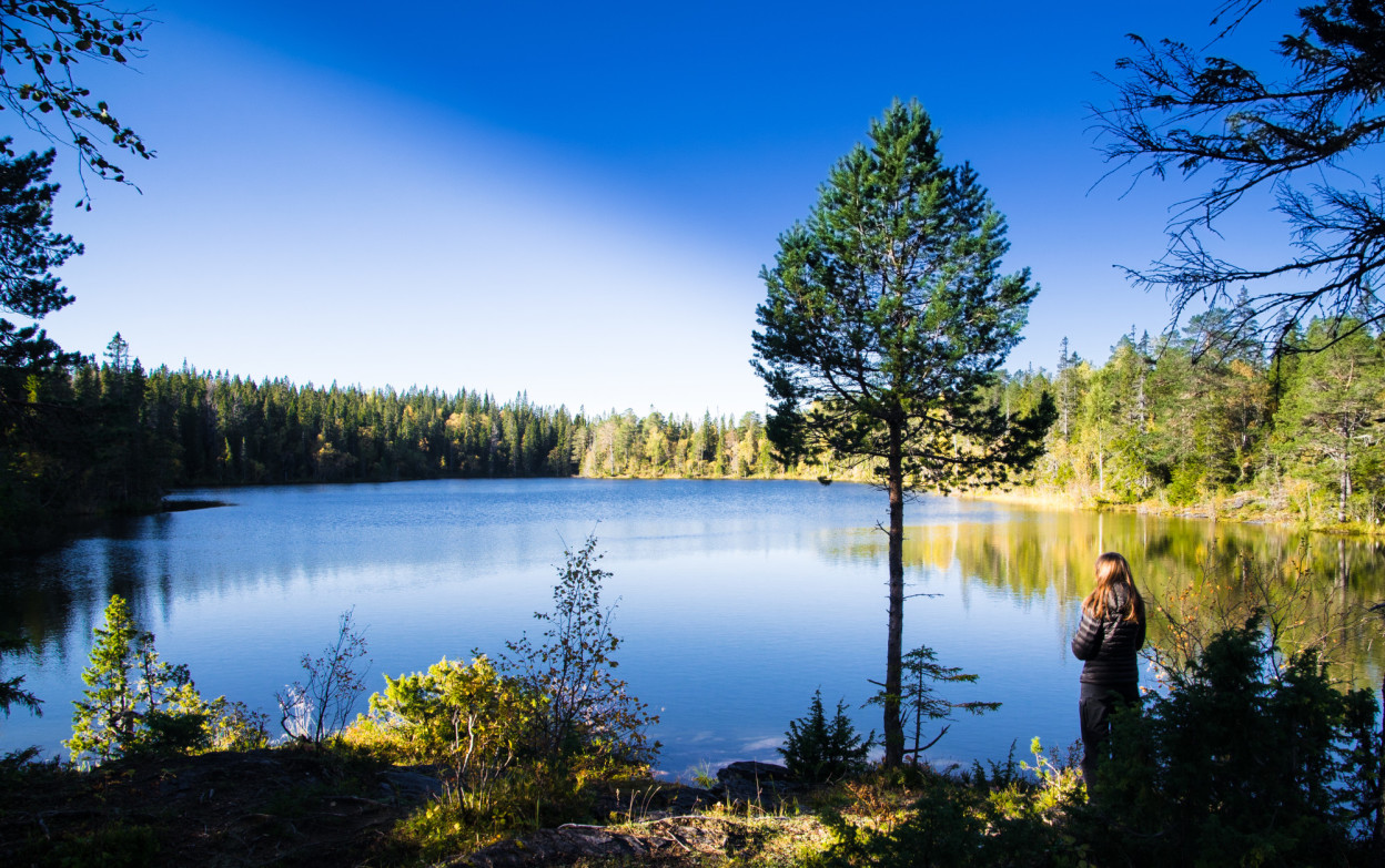 FOTO: Hallvard u. Smestad