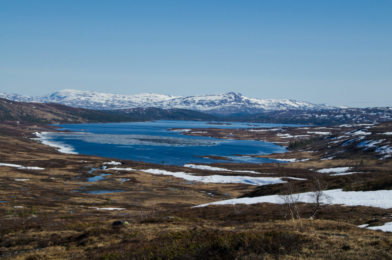 Utsikt mot Langvatnet. (FOTO: Hallvard U. Smestad)