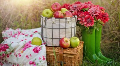 .apples-5594126_1920